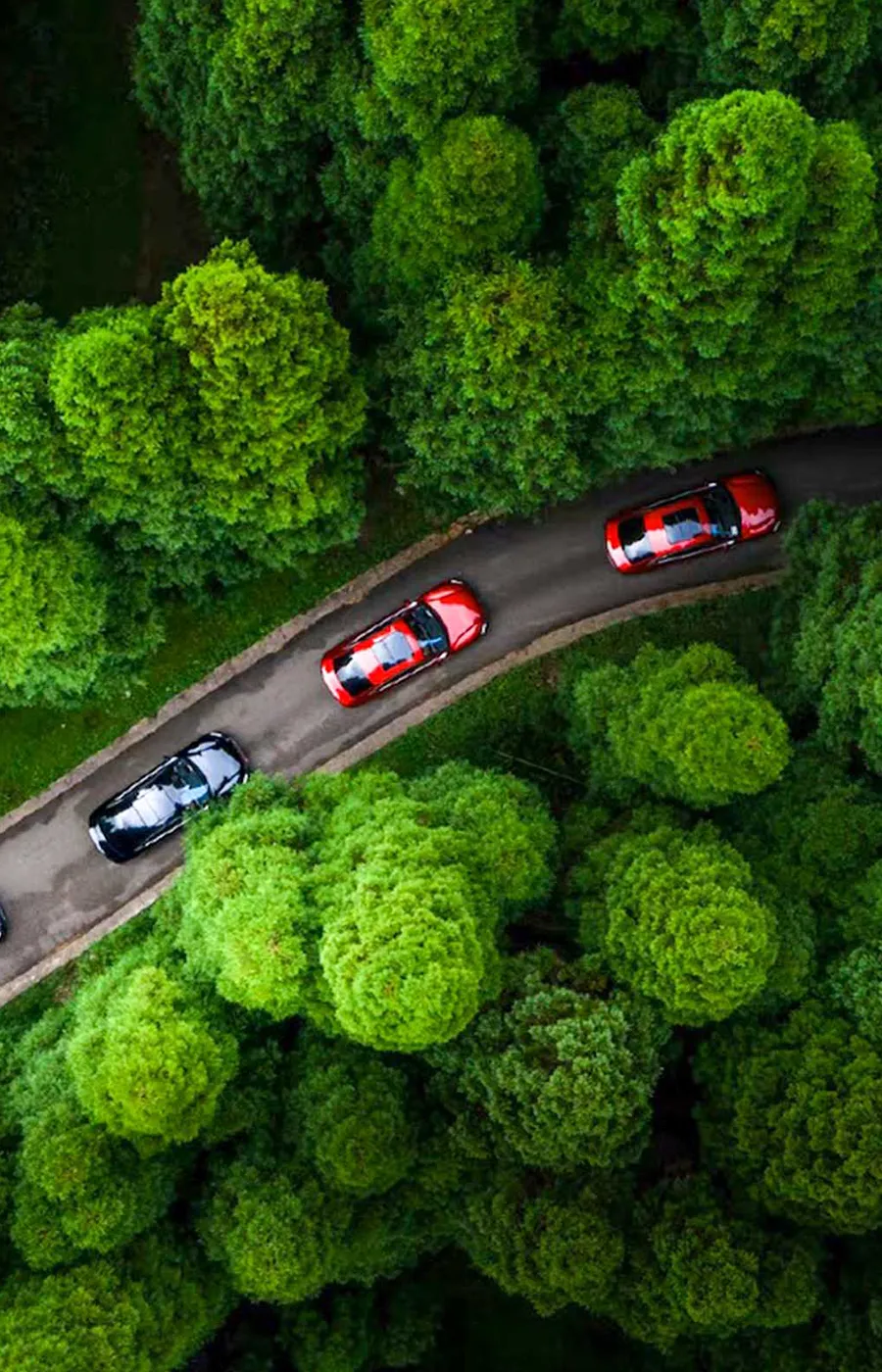 Reducción de Contaminación y Emisiones